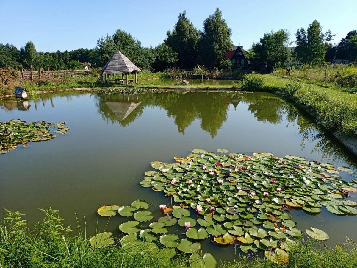 Noclegi U Janusza Zalesie  外观 照片